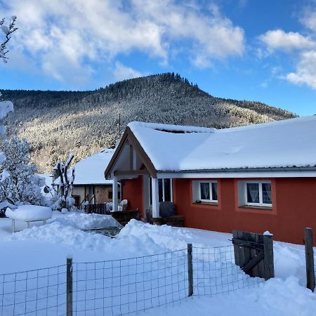 Gite Le Cerf Volant Raon-sur-Plaine Exterior foto